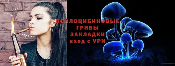 крисы Волоколамск